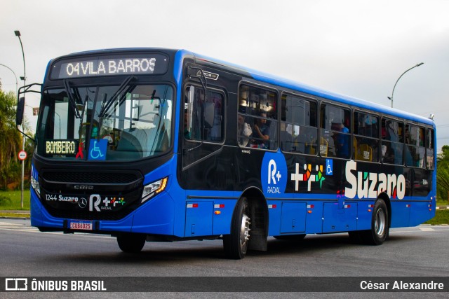 Radial Suzano 1244 na cidade de Suzano, São Paulo, Brasil, por César Alexandre. ID da foto: 11771244.