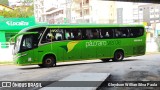 Pássaro Verde 19164 na cidade de Conselheiro Lafaiete, Minas Gerais, Brasil, por Gleydson Willian Silva Paula. Número da foto: #11771396.