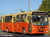 Auto Viação São José dos Pinhais 101 na cidade de São José dos Pinhais, Paraná, Brasil, por Luiz Souza. Número da foto: #:id.