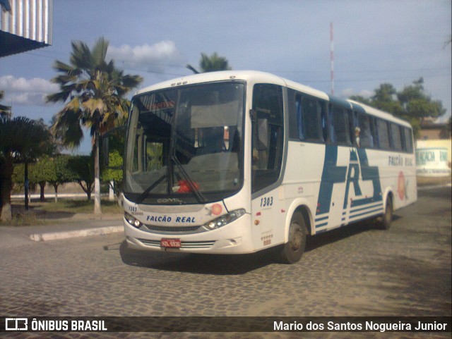 Falcão Real 1303 na cidade de Piritiba, Bahia, Brasil, por Mario dos Santos Nogueira Junior. ID da foto: 11775288.