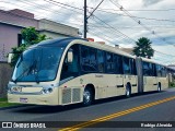 Araucária Transportes Coletivos 19M75 na cidade de Curitiba, Paraná, Brasil, por Rodrigo Almeida. Número da foto: #11775242.