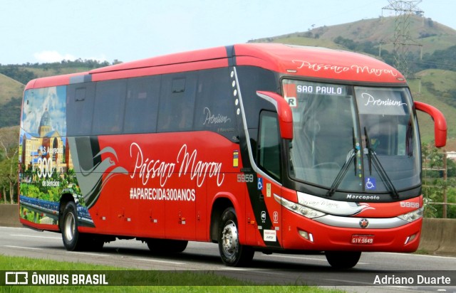 Empresa de Ônibus Pássaro Marron 5959 na cidade de Roseira, São Paulo, Brasil, por Adriano Duarte. ID da foto: 11779872.