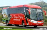 Empresa de Ônibus Pássaro Marron 5959 na cidade de Roseira, São Paulo, Brasil, por Adriano Duarte. Número da foto: #11779872.