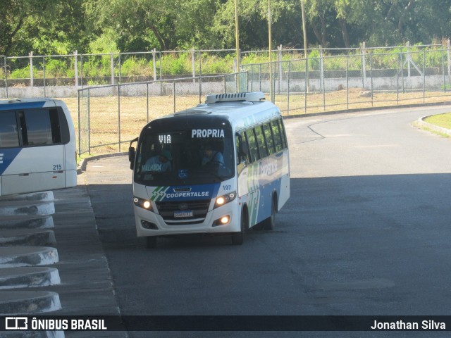 Coopertalse 197 na cidade de Aracaju, Sergipe, Brasil, por Jonathan Silva. ID da foto: 11781020.