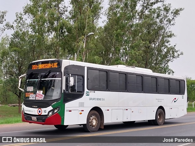 Grupo Bene S.A. - Línea 11 31 na cidade de Luque, Central, Paraguai, por José Paredes. Número da foto: #11782594.