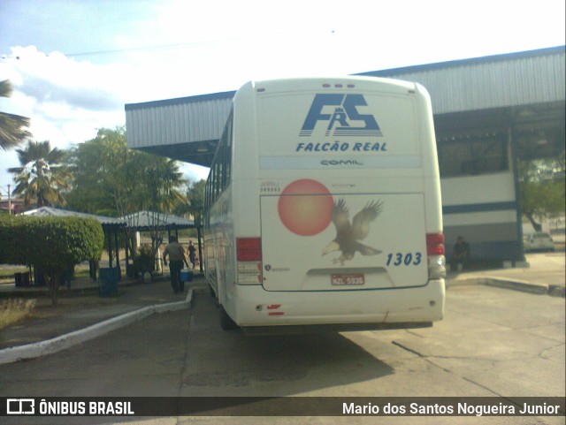 Falcão Real 1303 na cidade de Piritiba, Bahia, Brasil, por Mario dos Santos Nogueira Junior. Número da foto: #11785597.