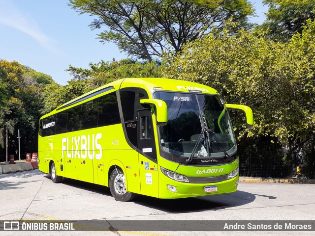 FlixBus Transporte e Tecnologia do Brasil 4600 na cidade de São Paulo, São Paulo, Brasil, por Andre Santos de Moraes. Número da foto: #11787677.