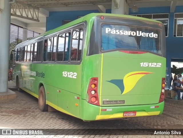 Pássaro Verde 15122 na cidade de Santa Bárbara, Minas Gerais, Brasil, por Antonio Silva. ID da foto: 11788935.