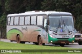 Turin Transportes 1320 na cidade de Conselheiro Lafaiete, Minas Gerais, Brasil, por Lucas Oliveira. Número da foto: #11786926.