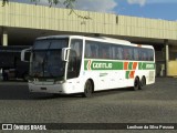 Empresa Gontijo de Transportes 20165 na cidade de Caruaru, Pernambuco, Brasil, por Lenilson da Silva Pessoa. Número da foto: #11788109.