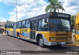 Ônibus Particulares 2442 na cidade de Duartina, São Paulo, Brasil, por Alex Marques. Número da foto: #11792909.