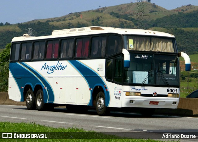 Expresso Angelitur 8001 na cidade de Roseira, São Paulo, Brasil, por Adriano Duarte. ID da foto: 11796050.