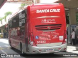 Viação Santa Cruz 30223 na cidade de São Caetano do Sul, São Paulo, Brasil, por Gabriel Brunhara. Número da foto: #11795773.