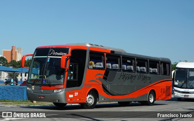 Empresa de Ônibus Pássaro Marron 5025 na cidade de São Paulo, São Paulo, Brasil, por Francisco Ivano. Número da foto: #11801953.