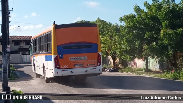 Cidade Alta Transportes 1.202 na cidade de Paulista, Pernambuco, Brasil, por Luiz Adriano Carlos. Número da foto: #11805028.