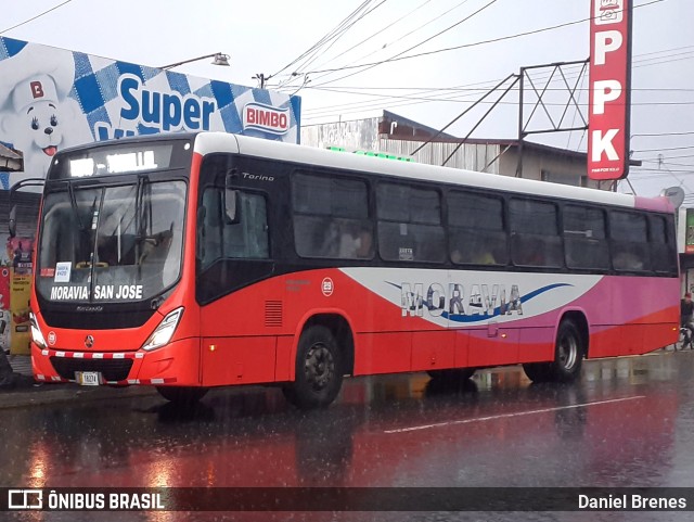 AMSA - Autotransportes Moravia 29 na cidade de San Vicente, Moravia, San José, Costa Rica, por Daniel Brenes. Número da foto: #11803572.