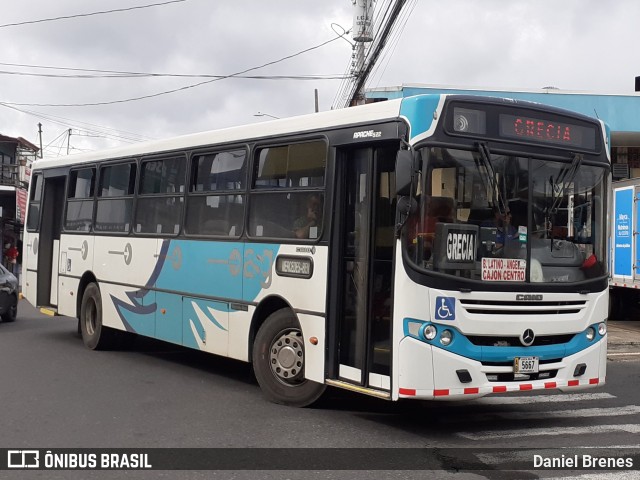 Autotransportes Santa Gertrudis Grecia AB 5667 na cidade de Grecia, Grecia, Alajuela, Costa Rica, por Daniel Brenes. Número da foto: #11806733.