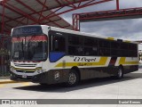 Hermanos Alpizar 133 na cidade de Alajuela, Alajuela, Alajuela, Costa Rica, por Daniel Brenes. Número da foto: #11806636.