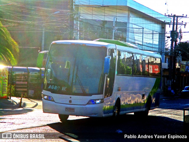 Ônibus Particulares YU5557 na cidade de Santa Cruz, Colchagua, Libertador General Bernardo O'Higgins, Chile, por Pablo Andres Yavar Espinoza. Número da foto: #11816121.