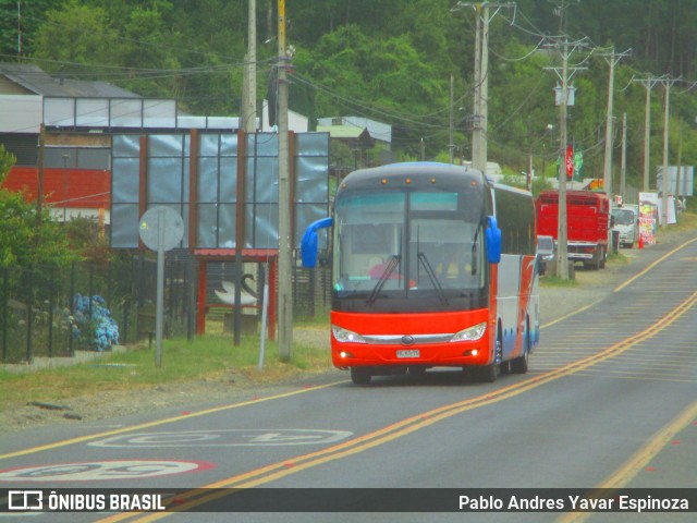 Trans-Tur Hidalgo 04 na cidade de Villarrica, Cautín, Araucanía, Chile, por Pablo Andres Yavar Espinoza. Número da foto: #11819396.