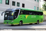 Pássaro Verde 23181 na cidade de Ponte Nova, Minas Gerais, Brasil, por Eliziar Maciel Soares. Número da foto: #:id.