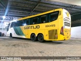 Empresa Gontijo de Transportes 18045 na cidade de Ipatinga, Minas Gerais, Brasil, por Celso ROTA381. Número da foto: #11820416.
