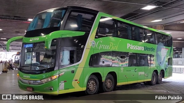 Pássaro Verde 12119 na cidade de Belo Horizonte, Minas Gerais, Brasil, por Fábio Paixão. Número da foto: #11826809.