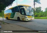 Empresa Gontijo de Transportes 19545 na cidade de Ipatinga, Minas Gerais, Brasil, por Celso ROTA381. Número da foto: #11831159.