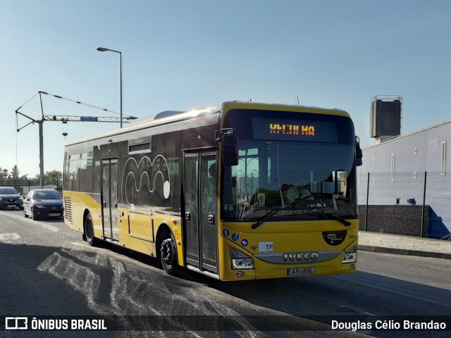 TST - Transportes Sul do Tejo 2309 na cidade de Almada, Setúbal, Portugal, por Douglas Célio Brandao. ID da foto: 11748250.