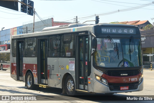 Transwolff Transportes e Turismo 7 8973 na cidade de São Paulo, São Paulo, Brasil, por Murilo da Silva. Número da foto: #11752641.