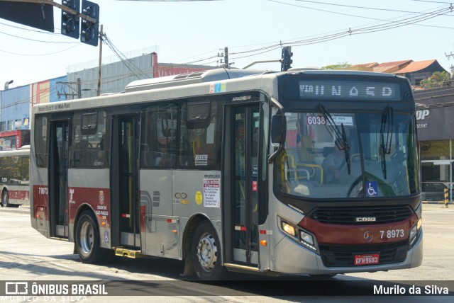 Transwolff Transportes e Turismo 7 8973 na cidade de São Paulo, São Paulo, Brasil, por Murilo da Silva. ID da foto: 11752641.