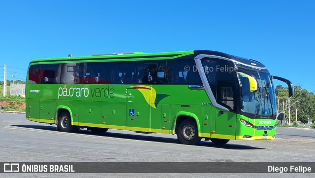 Pássaro Verde 23181 na cidade de Formiga, Minas Gerais, Brasil, por Diego Felipe. Número da foto: #11753173.