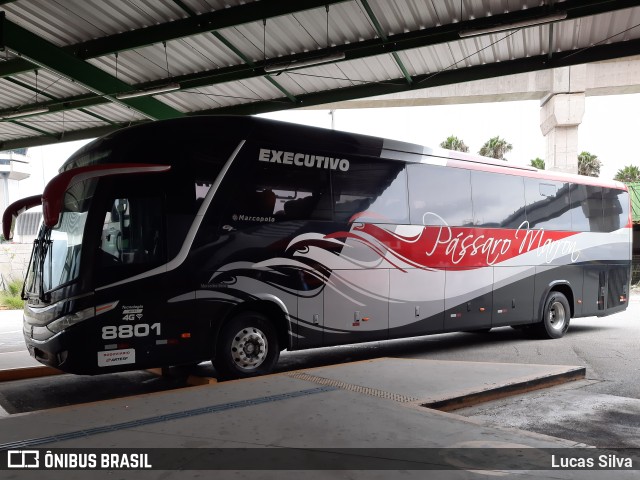 Empresa de Ônibus Pássaro Marron 8801 na cidade de Guarulhos, São Paulo, Brasil, por Lucas Silva. ID da foto: 11753037.