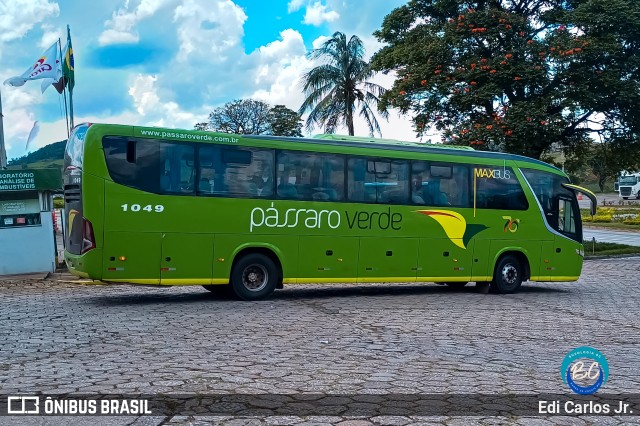 Pássaro Verde 1049 na cidade de João Monlevade, Minas Gerais, Brasil, por Edi Carlos Jr.. ID da foto: 11756313.