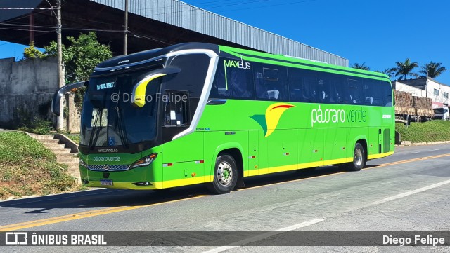 Pássaro Verde 23181 na cidade de Formiga, Minas Gerais, Brasil, por Diego Felipe. Número da foto: #11756194.
