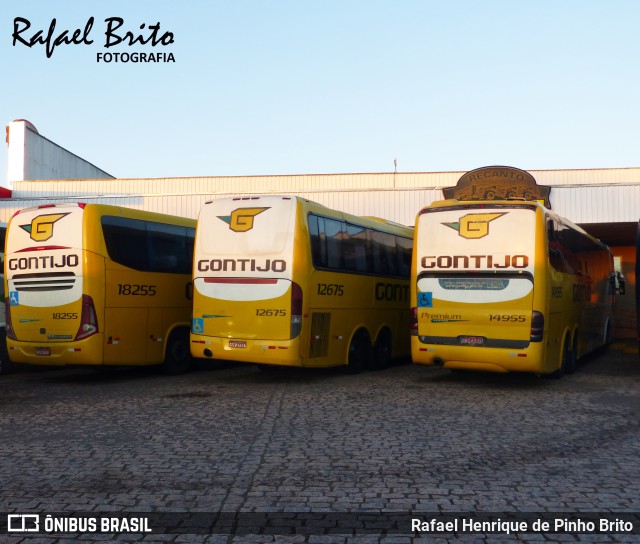 Empresa Gontijo de Transportes 14955 na cidade de Ribeirão Preto, São Paulo, Brasil, por Rafael Henrique de Pinho Brito. Número da foto: #11757460.