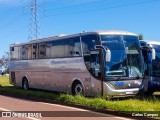 Rosa Azul 2502 na cidade de Cascavel, Paraná, Brasil, por Carlos Campos. Número da foto: #11756004.