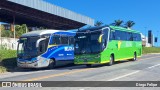 Pássaro Verde 23181 na cidade de Formiga, Minas Gerais, Brasil, por Diego Felipe. Número da foto: #11756197.