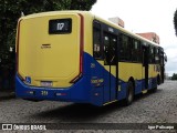 Trancid - Transporte Cidade de Divinópolis 251 na cidade de Divinópolis, Minas Gerais, Brasil, por Igor Policarpo. Número da foto: #11759316.