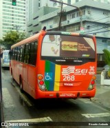 Borborema Imperial Transportes 268 na cidade de Recife, Pernambuco, Brasil, por Ricardo Andrade. Número da foto: #:id.