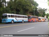 Travisa Herediana HB 2710 na cidade de San Pablo, San Pablo, Heredia, Costa Rica, por Luis Diego Sánchez. Número da foto: #12452562.