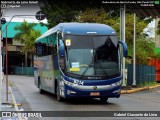 Bia Turismo > Aellos de Ouro 8214 na cidade de São Paulo, São Paulo, Brasil, por Gabriel Giacomin de Lima. Número da foto: #12450908.