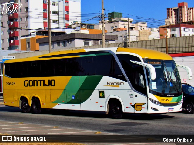 Empresa Gontijo de Transportes 19645 na cidade de Belo Horizonte, Minas Gerais, Brasil, por César Ônibus. Número da foto: #12475053.