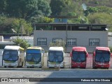 Empresa Gontijo de Transportes 18300 na cidade de Juiz de Fora, Minas Gerais, Brasil, por Fabiano da Silva Oliveira. Número da foto: #12474244.