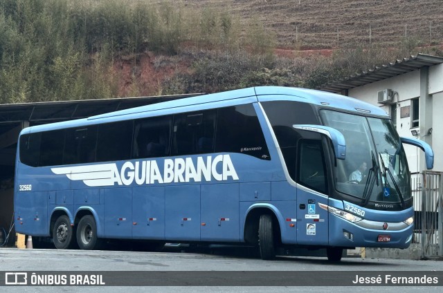 Viação Águia Branca 32560 na cidade de Ponte Nova, Minas Gerais, Brasil, por Jessé Fernandes. Número da foto: #12475846.