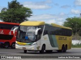 Empresa Gontijo de Transportes 19175 na cidade de Caruaru, Pernambuco, Brasil, por Lenilson da Silva Pessoa. Número da foto: #12477416.