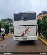 Paraibuna Transportes 10006 na cidade de Pedra Dourada, Minas Gerais, Brasil, por Victor Santos. Número da foto: #12475976.