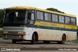 Nacional Expresso 66232 na cidade de Uberlândia, Minas Gerais, Brasil, por Diego Almeida Araujo. Número da foto: #12478968.