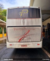 Paraibuna Transportes 10006 na cidade de Carangola, Minas Gerais, Brasil, por Victor Santos. Número da foto: #12478298.