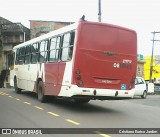 Transtol Transportes 0811043 na cidade de Manaus, Amazonas, Brasil, por Cristiano Eurico Jardim. Número da foto: #:id.
